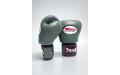 Боксерские перчатки Twins Special BGVL3 Olive 12 oz