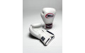 Боксерские перчатки Twins Special BGVL3 white 10 oz